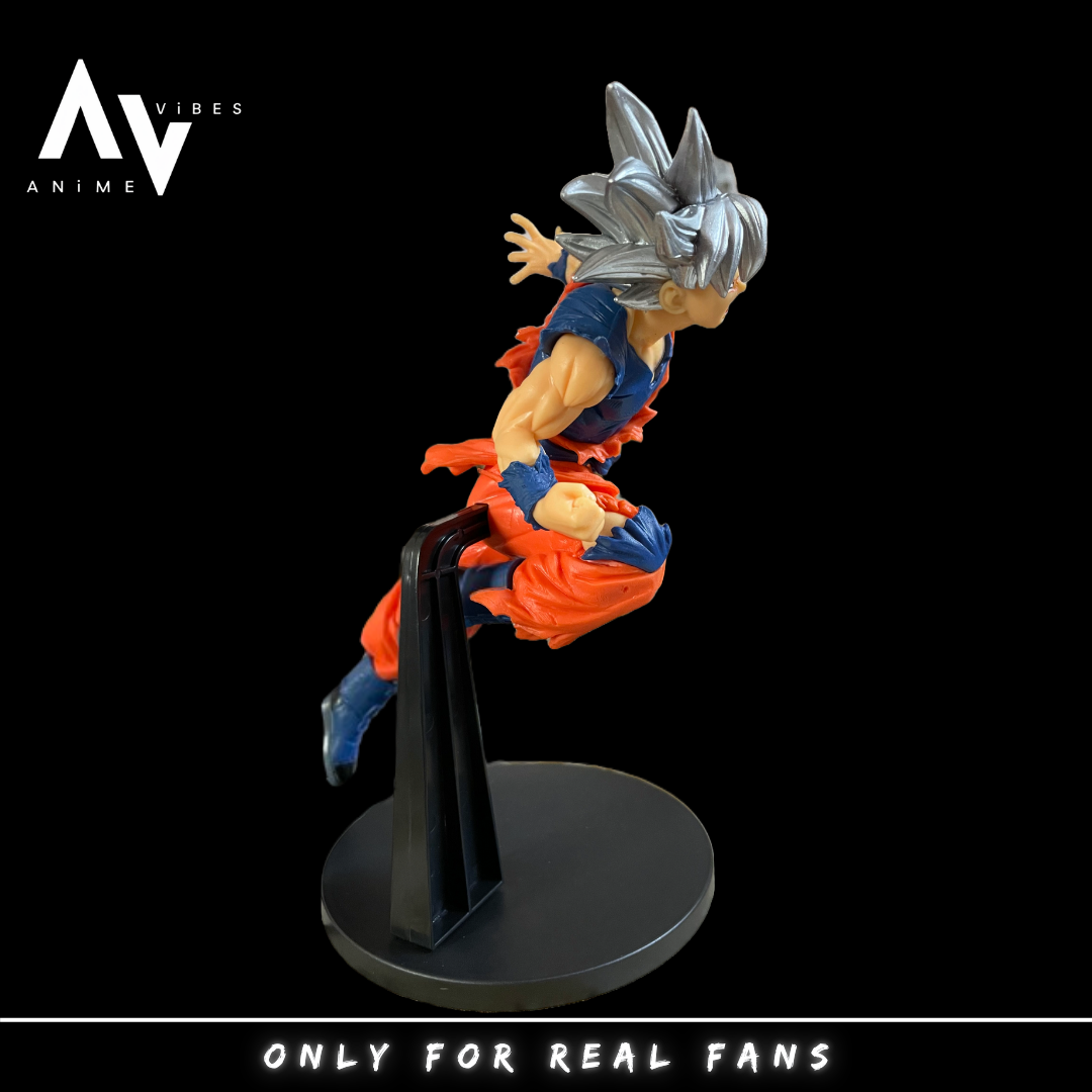 Goku Jump grey hair